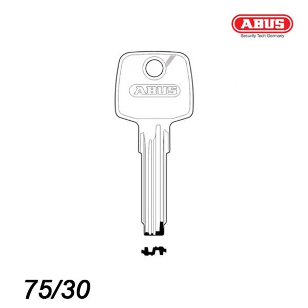 Abus 013 - klucz surowy do kłódek 75/30