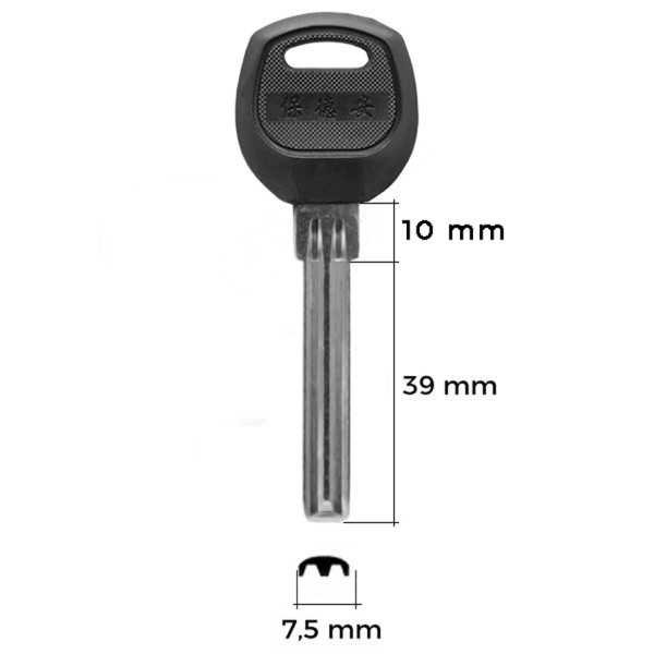 Microswitch 004