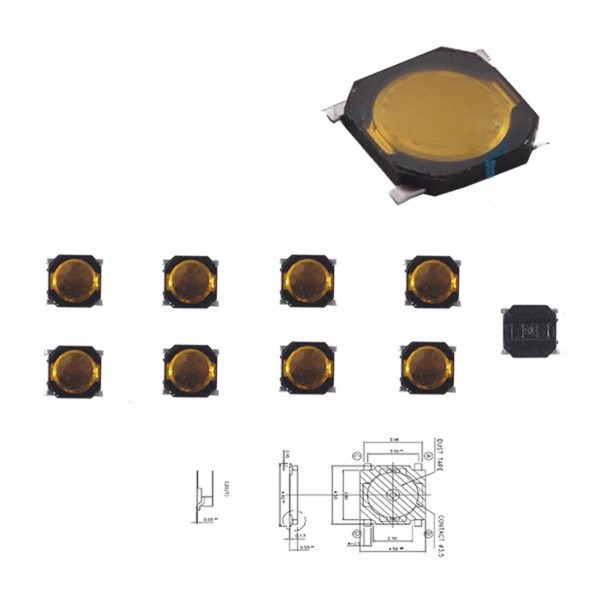 Microswitch 005