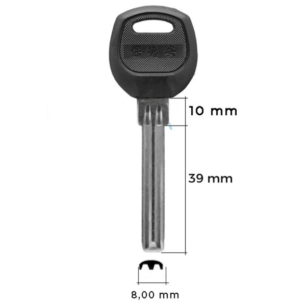 Microswitch 006