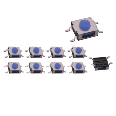 Microswitch 010