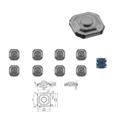 Microswitch 016