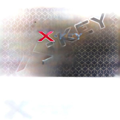 Licencja X-Key NEO wersja IMAGE