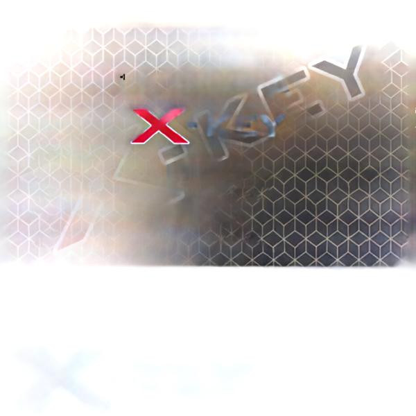 Licencja X-Key NEO wersja PRO